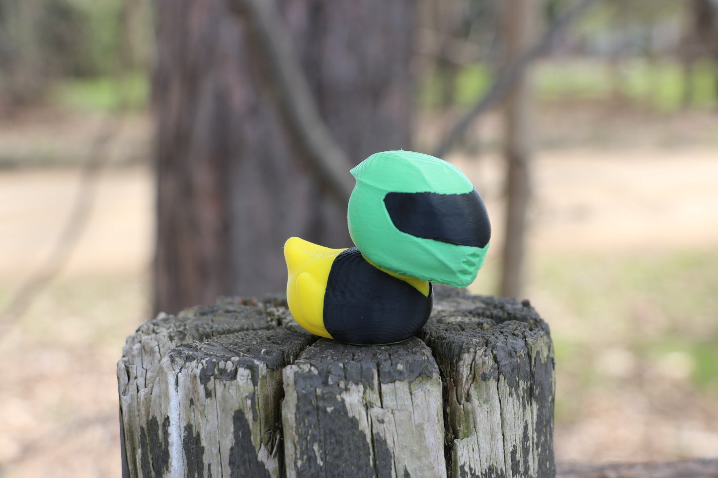 Biker Duck | Motorcycle Fan Gift