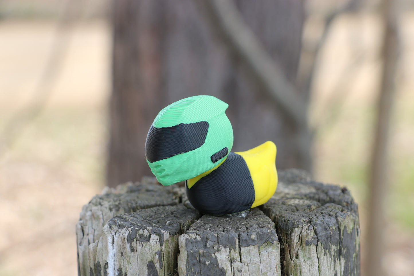 Biker Duck | Motorcycle Fan Gift