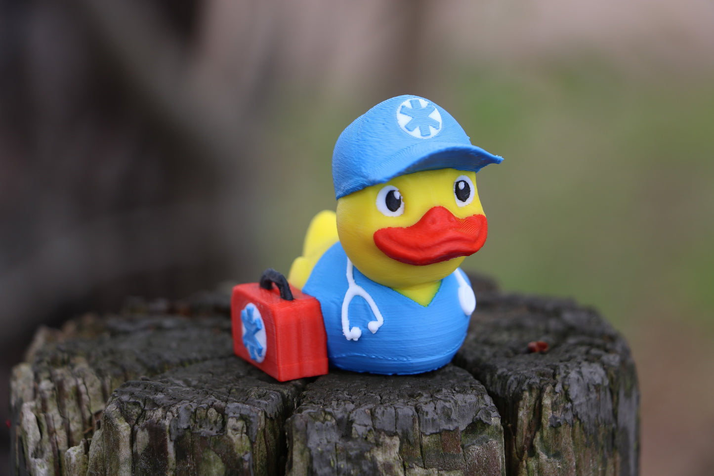 Front side view of the EMT Duck