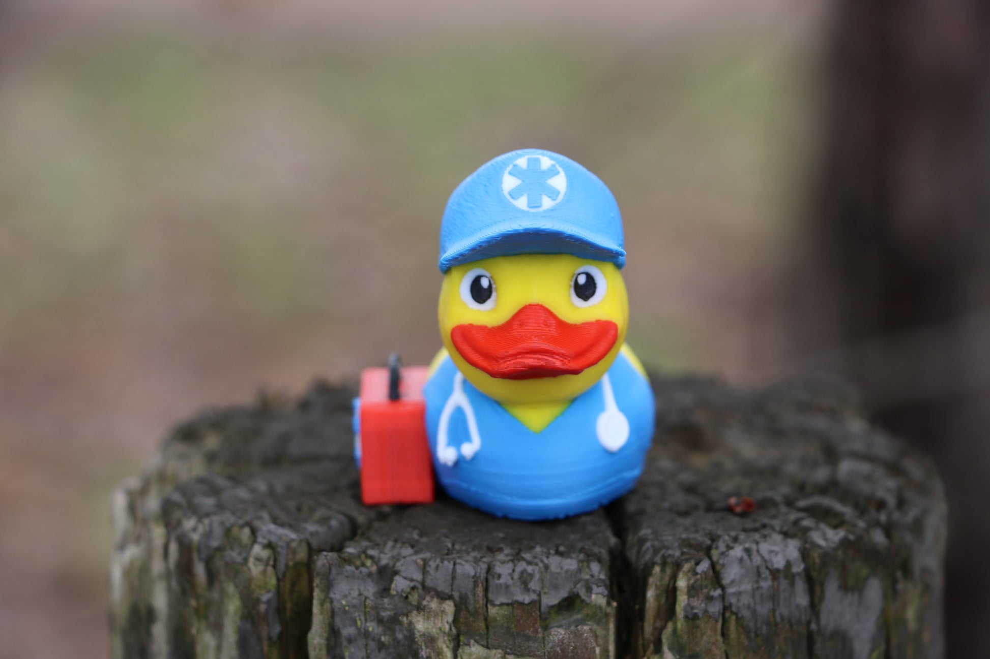 Straight-on Front view of the EMT Duck