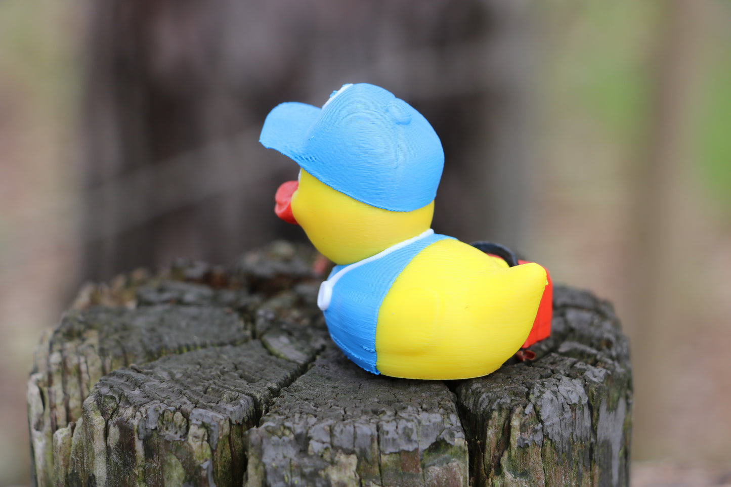 Back Left side of the EMT Duck