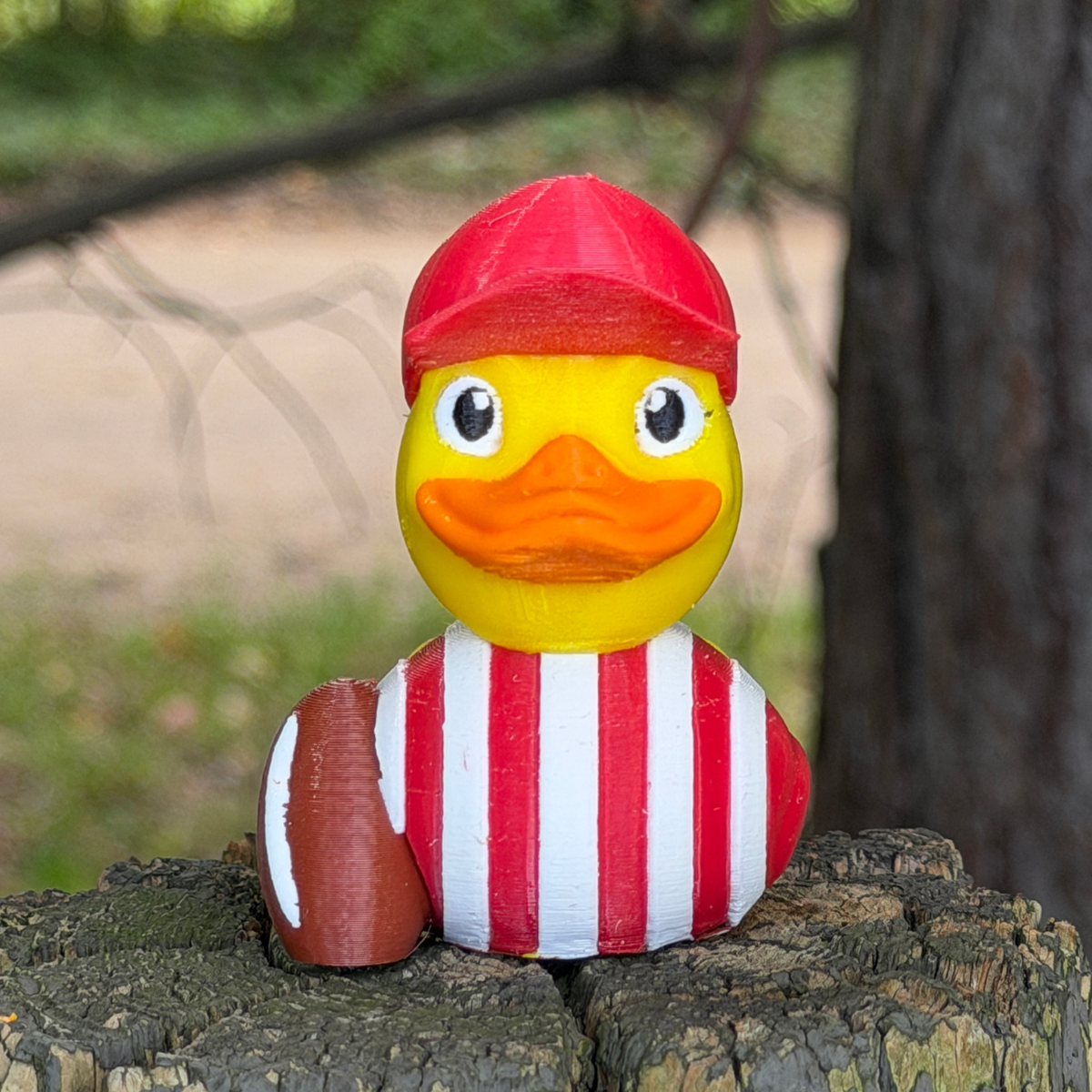 Wisconsin Football Duck | Red & White Gameday Gift